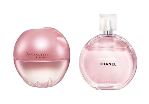 dupes de perfumes caros